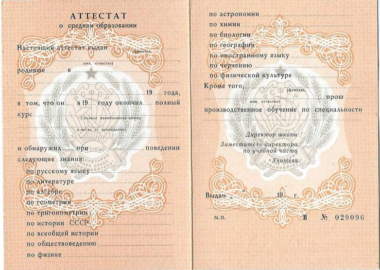 Купить диплом МГМСУ им. Евдокимова Варианты, Риски и Альтернативы