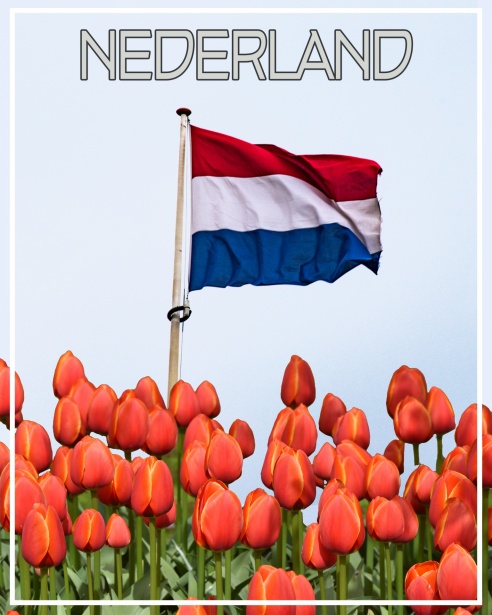 Ondersteuning voor Mensen met een LVB Kansen en Uitdagingen