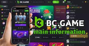Explore the World of Global Crypto Casinos BC.Game