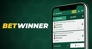 BetWinner Online Casino A Comprehensive Review BetWinner Online Casino A Comprehensive Review