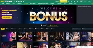 Everything You Need to Know About BetWinner Bookmaker -817979339 Everything You Need to Know About BetWinner Bookmaker -817979339