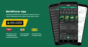Explore the Thrilling World of BetWinner Casino